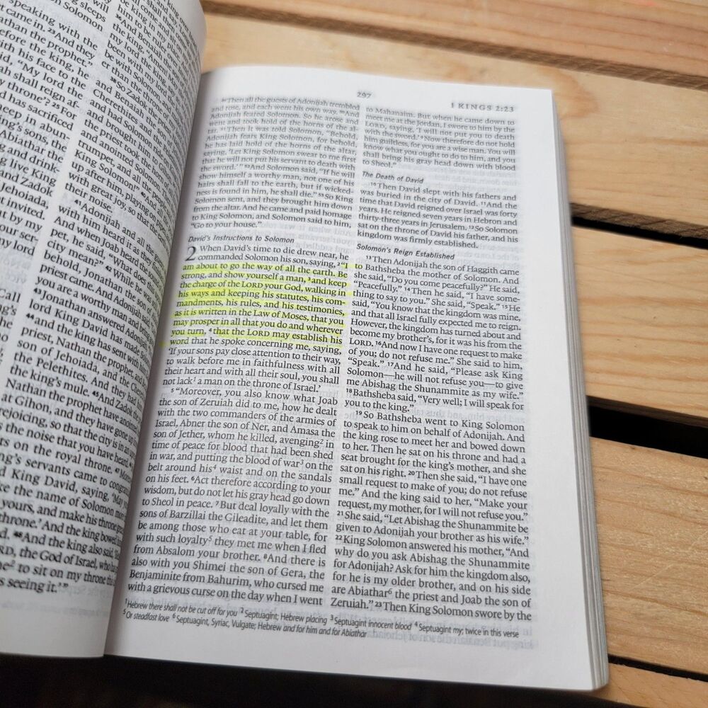 BOOK Holy Bible: Military Challenge Edition (Paperback) - Picture 10 of 10